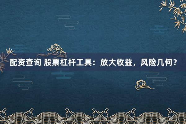 配资查询 股票杠杆工具：放大收益，风险几何？