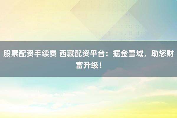 股票配资手续费 西藏配资平台：掘金雪域，助您财富升级！