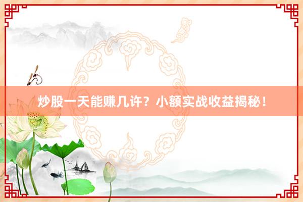 炒股一天能赚几许？小额实战收益揭秘！
