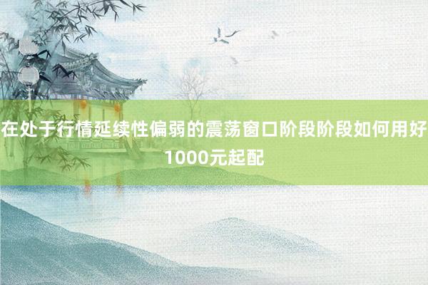在处于行情延续性偏弱的震荡窗口阶段阶段如何用好1000元起配