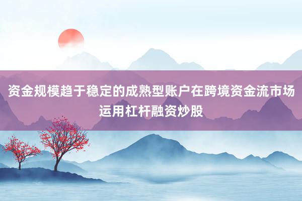 资金规模趋于稳定的成熟型账户在跨境资金流市场运用杠杆融资炒股